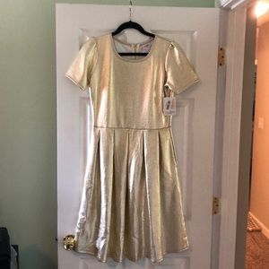 Lularoe Dress - Shiny!